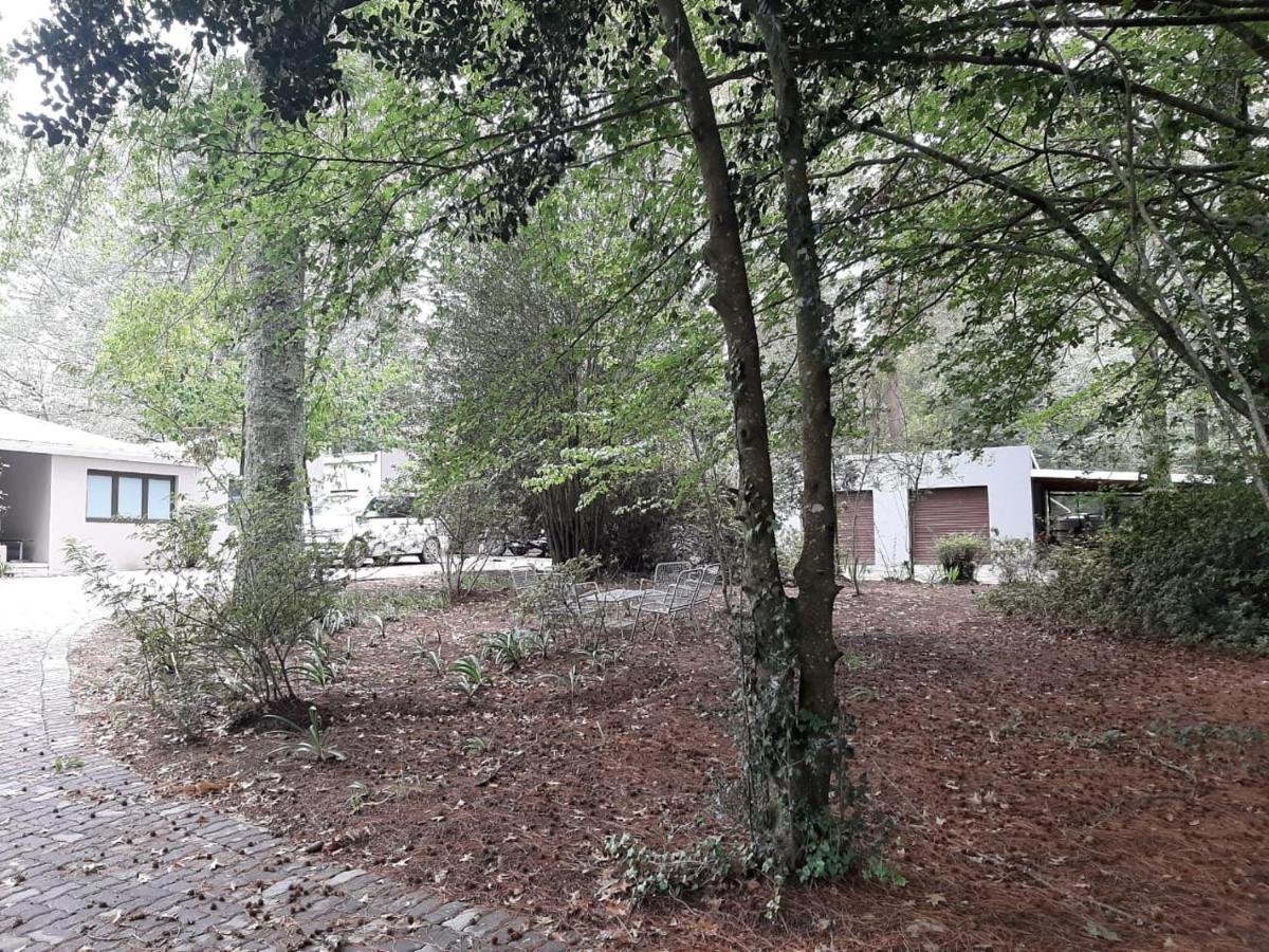 Camroshell Hotel Hogsback Bagian luar foto