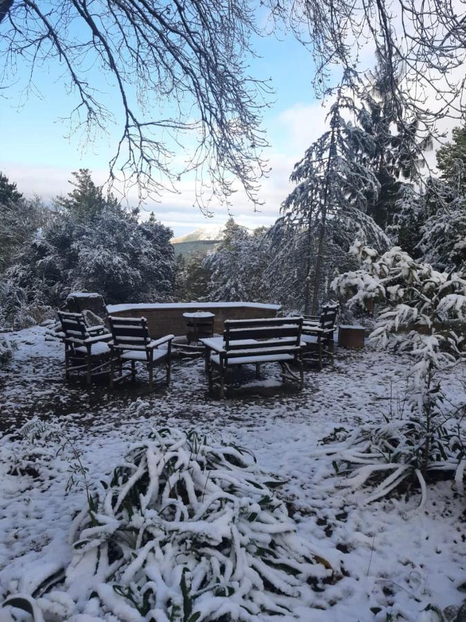 Camroshell Hotel Hogsback Bagian luar foto